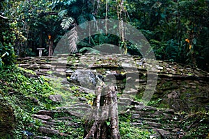 Terrace from where a house had been built in the lost city indigenous name Teyuna photo