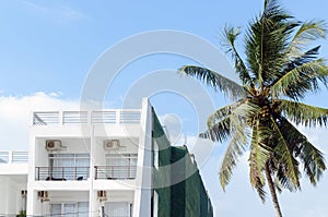 Terrace white color in hotel with a palm tree against blue sky.