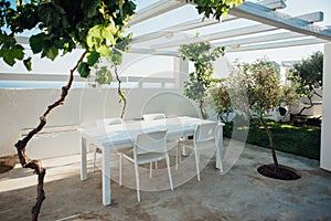 Terrace with white table and chairs under a white roof with vine and olive trees