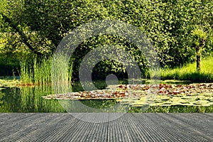 Terrace with a wonderful view. Garden pond with water lilies and green banks. Living with joy in nature