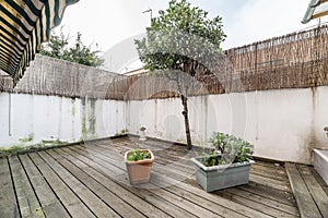 Terraced courtyard of a ground floor apartment with some plants and unvarnished acacia wood floors, a swimming pool, a small tree