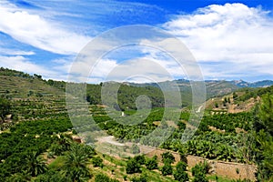 Terraced farm valley Catalonia, Spain