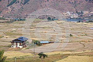 Terraced farmaland, Paro, Bhutan