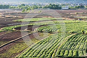 Terraced farmland near Shaxi village in Yunnan
