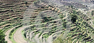 Terraced field on huangling mountain, adobe rgb