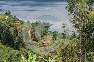 Terraced Field by Lake Ruhondo, Rwanda photo