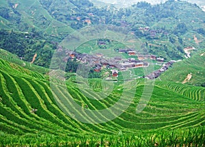 Terraced field and village
