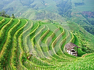 Terraced field and village