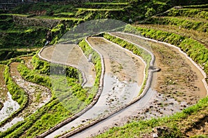 Terraced Field in Yun'he, China