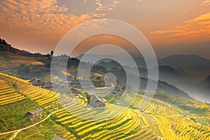 Terraced fields photo