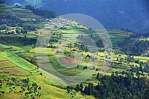 Terraced fields