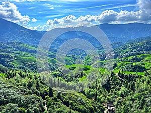 Terraced fields