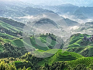 Terraced fields