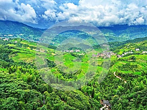 Terraced fields