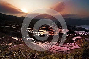 Terraced fields