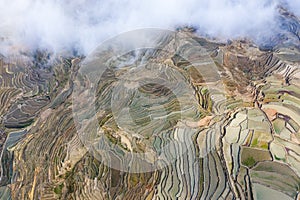 Terraced fields and clouds fog