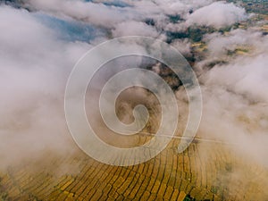 Terraced fields of ethnic minorities in Lam Dong seen from the air