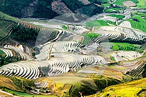 Terraced fields of the ethnic people in Northern Vietnam