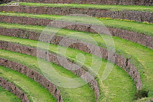 Terraced fields in the Inca archeological area of Pisac, Peru.