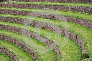 Terraced fields in the Inca archeological area of Pisac, Peru. photo