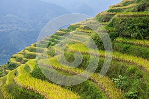 Terraced fields in Longsheng photo