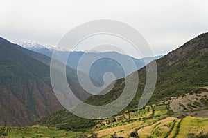 Terraced fields and snow montain range photo