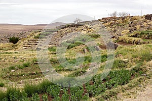 Terraced fields in Socaire, Chile