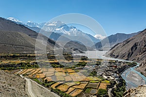 Terraced fields surrounding village of Kagbeni.