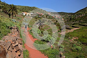 Terraced fields and the village Arure, La Gomera, Canary Islands, Spain