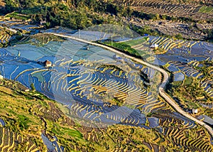 Terraced fields at the watering season in Northern Vietnam.