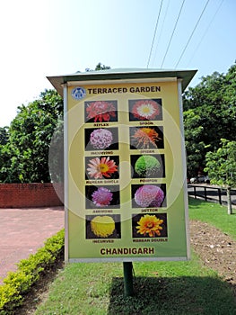 Terraced Garden of Chandigarh, India