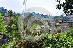 terraced gardens in Dazhai village