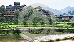 terraced gardens and houses in Chengyang village