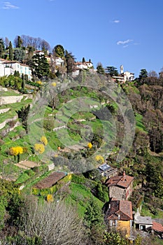 Terraced gardens to San Vigilio, Lombardy, Italy photo