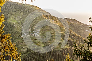 Terraced hillside in Dalhousie hillstation