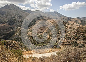 Terraced hillsides at Polyrenia, Crete, Greece