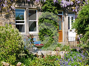 Terraced house garden