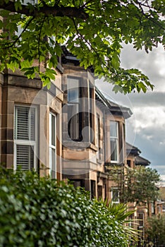 Terraced Houses in a Treelined Residential Street In Glasgow Scotland