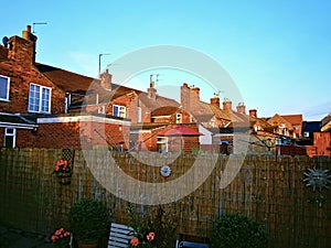 terraced houses viewed from a back yard or garden