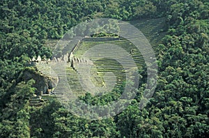 Terraced Inca Fields