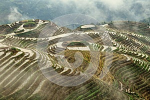 The terraced paddy fields in Guangxi Zhuang Autonomous Region in China