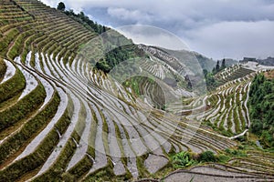 The terraced paddy fields in Guangxi Zhuang Autonomous Region in China