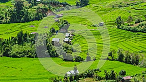 Terraced Rice Field in Chiangmai, Royal Project Khun Pae Northern Thailand