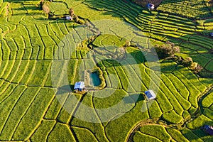 Terraced Rice Field in Chiangmai, Royal Project Khun Pae Northern Thailand