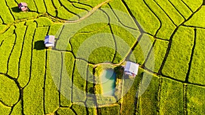 Terraced Rice Field in Chiangmai, Royal Project Khun Pae Northern Thailand