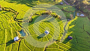 Terraced Rice Field in Chiangmai, Royal Project Khun Pae Northern Thailand