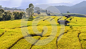 Terraced rice field with cottage at Ban Pa Bong Piang, Chiang Mai in Thailand