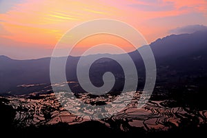 Terraced rice field of Hani ethnic people in Yuanyang, Yunnan province, China.