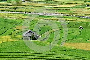 Terraced rice field and the house of the H`Mong ethnic people