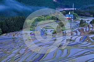 Terraced rice field at Maruyama Senmaida , Kumano City, Mie Prefecture photo